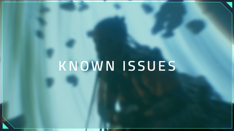 Known issues and our next steps