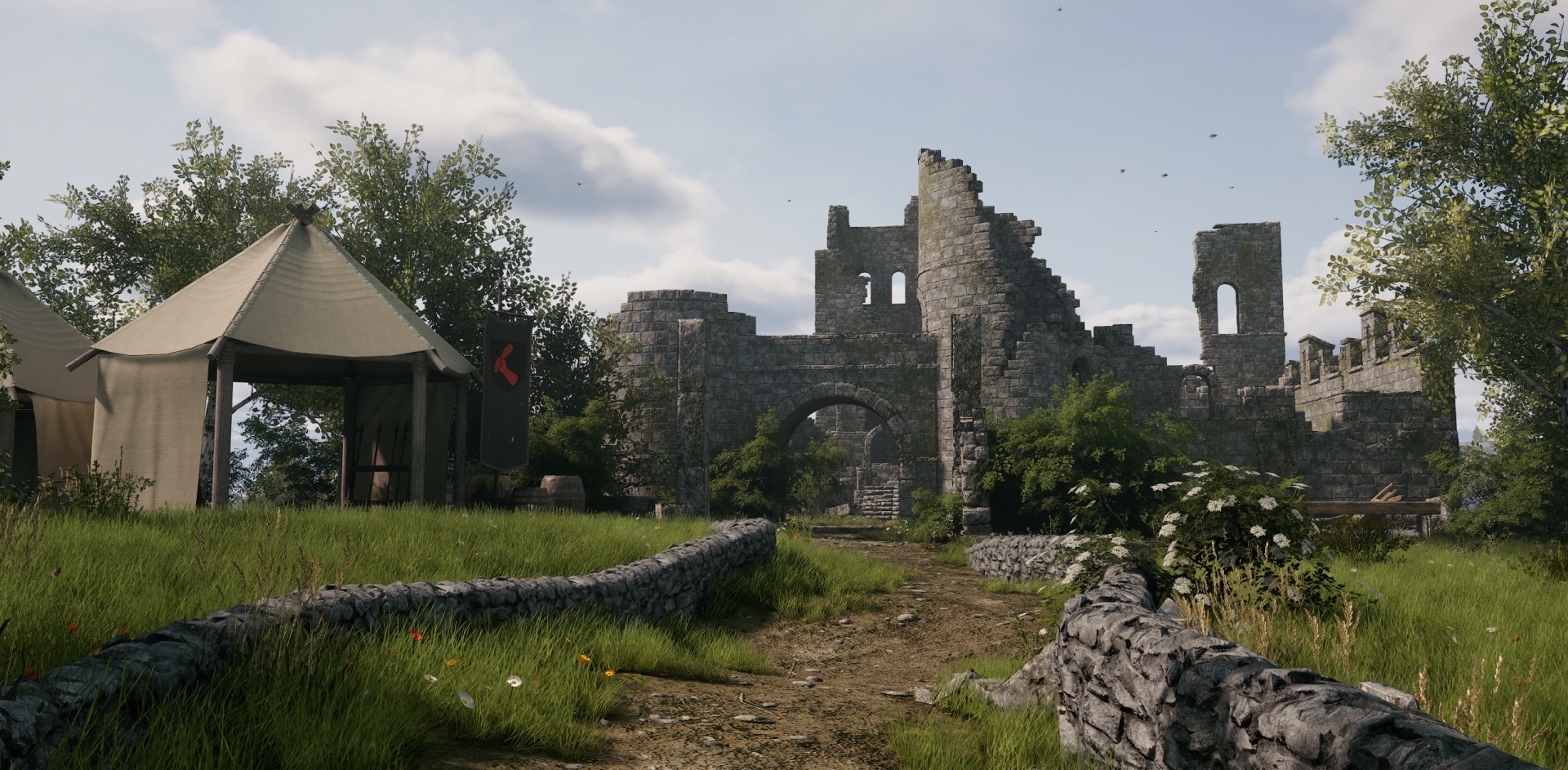 Steam post image