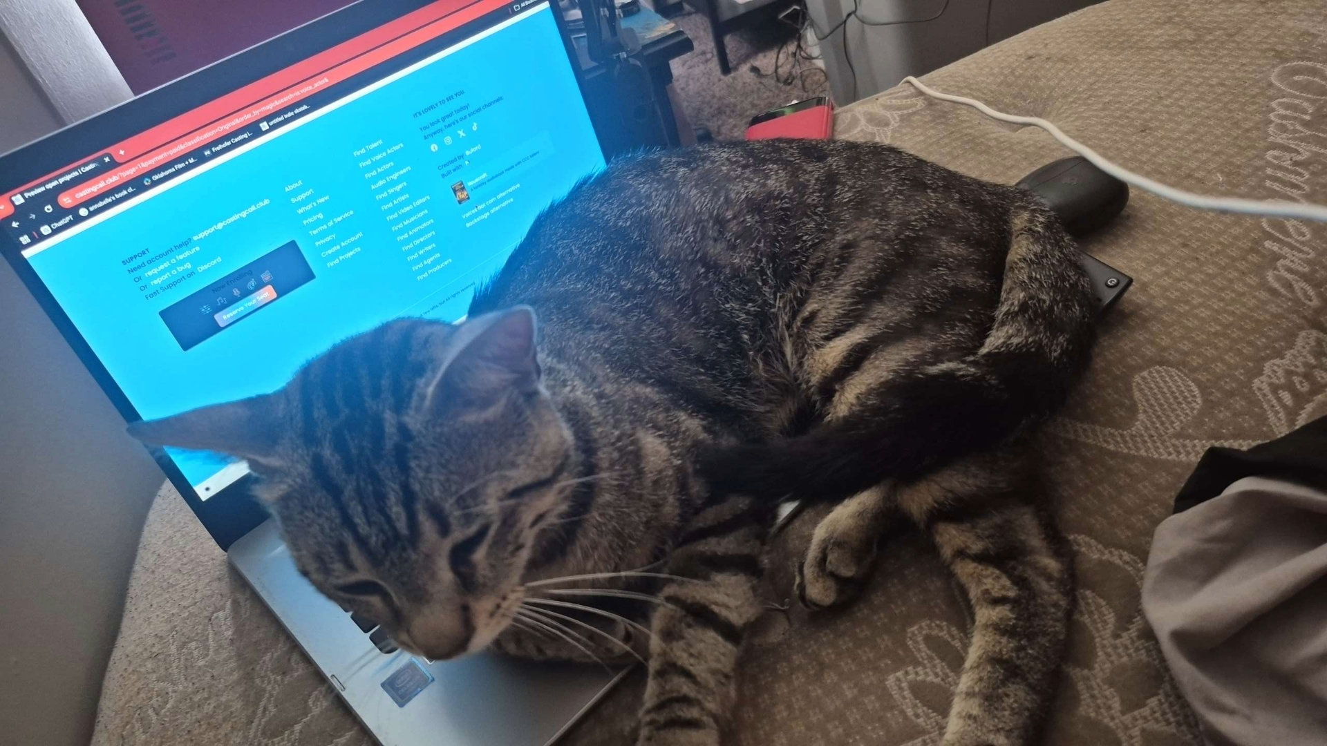 Steam post image