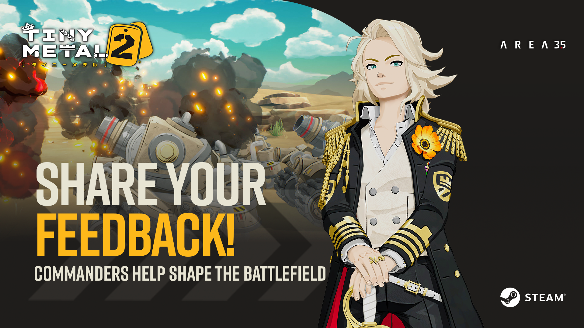 Steam post image
