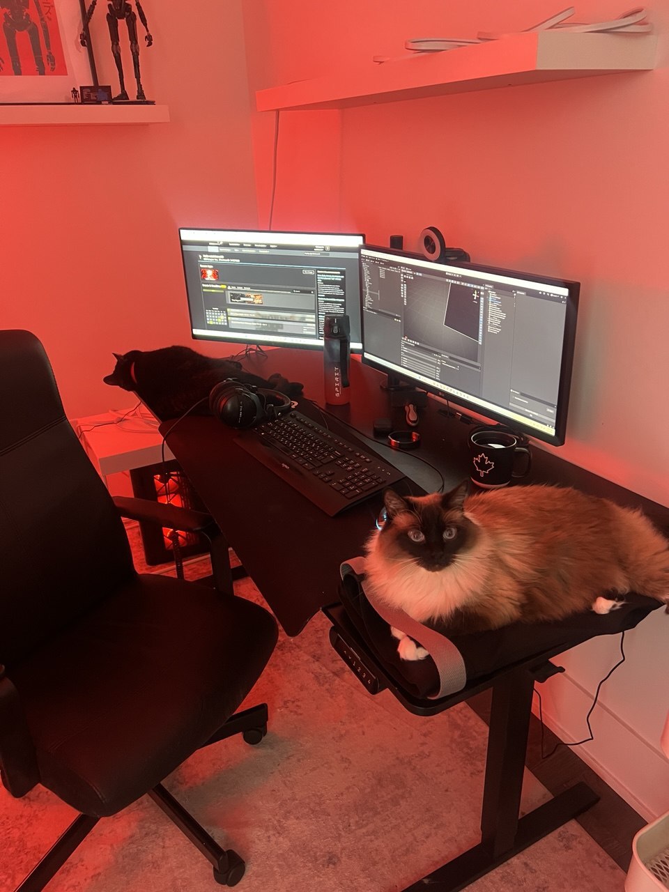 Steam post image