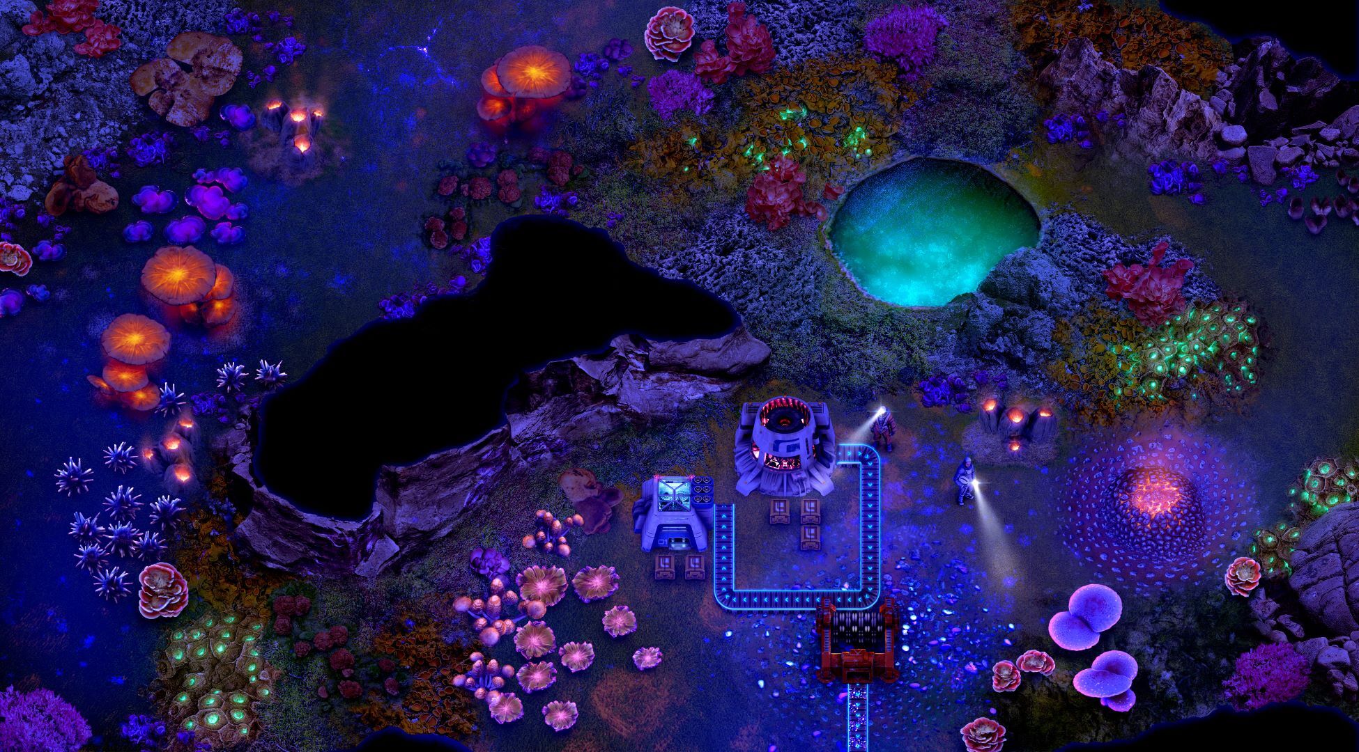 Steam post image