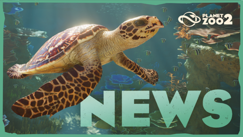 Behind the Scenes of Planet Zoo 2: Going Underwater
