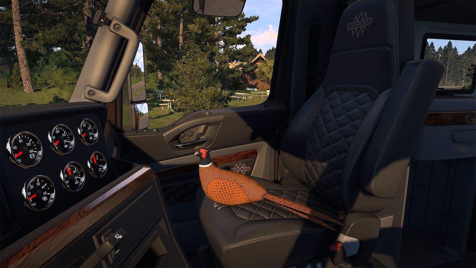 Ring-necked Pheasant Dashboard Toy