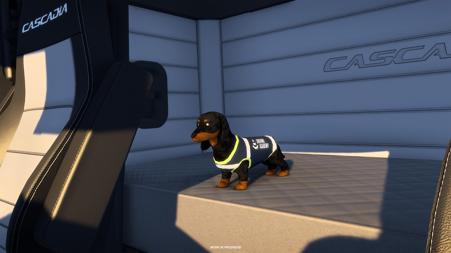 Frankie the Dachshund Reward