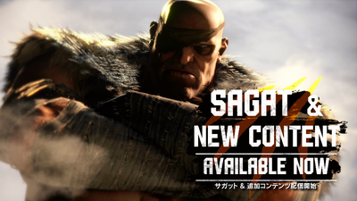 ストリートファイターV アーケードエディション サウンドトラック 帯付き CD Amazon.co.jp: ストリートファイターV アーケードエディション